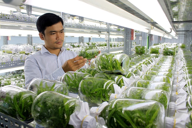 Hi-tech applied in agricultural production